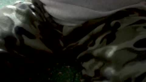 Yankee online show from 02-01-26, 05:28