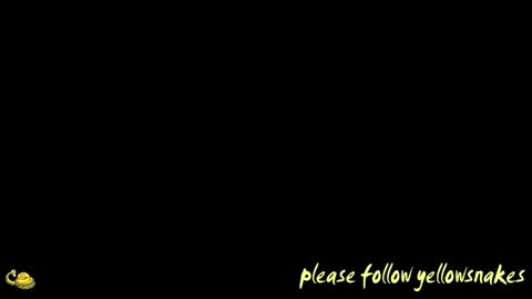 .     y e l l o w s n a k e s       . online show from 02-08-26, 09:34