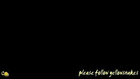 .     y e l l o w s n a k e s       . online show from 04-13-26, 11:48