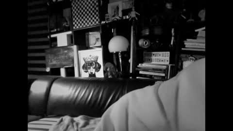 yessex247 online show from 02-19-26, 06:20