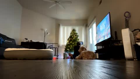 Snapshot of ynaong chatting on 12-18-24, 11:40 Palmela Handerson online show from 12-18-24, 11:40