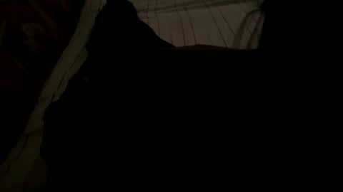 Snapshot of ynno31 chatting on 11-18-25, 05:23 Giannis online show from 11-18-25, 05:23