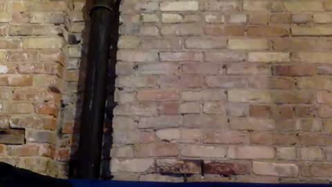 Ann Marie online show from 01-26-25, 07:32