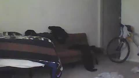 kindahorny online show from 02-15-25, 09:37