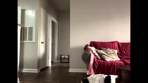 kindahorny online show from 10-14-25, 06:09