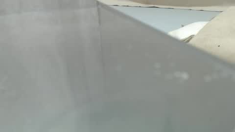 Snapshot of your_guy111 chatting on 04-11-26, 12:15 your_guy111 online show from 04-11-26, 12:15