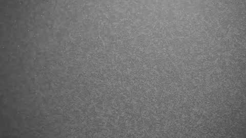 Snapshot of your_little_flexible_girl chatting on 02-13-25, 09:38 Meri online show from 02-13-25, 09:38