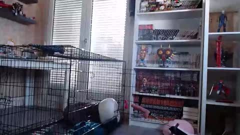 Owned by Hell On Heels online show from 03-07-26, 09:06