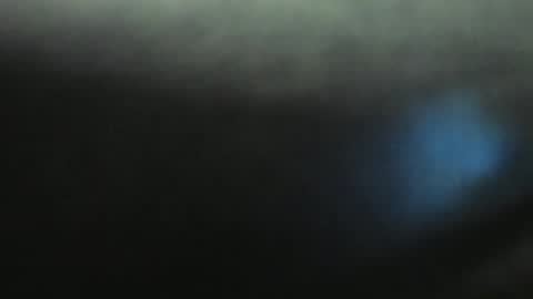 Snapshot of yourfantasyc chatting on 01-11-25, 03:20 Evelline online show from 01-11-25, 03:20