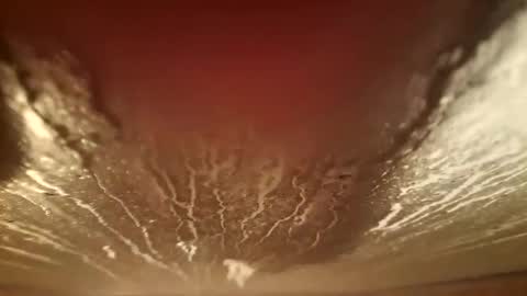 youth505 online show from 12-05-25, 02:20