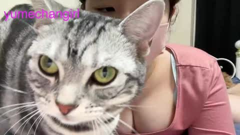 Snapshot of yumechangirl chatting on 02-06-25, 03:16 YumechangirlAnime Fan online show from 02-06-25, 03:16