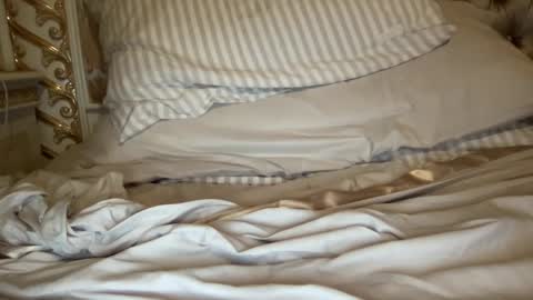 Snapshot of yungbull06 chatting on 01-20-25, 03:04 Yung Bull online show from 01-20-25, 03:04