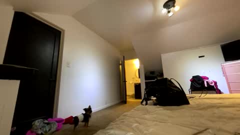 Snapshot of yungfemslut chatting on 11-21-25, 02:32 BbyTSSLut online show from 11-21-25, 02:32