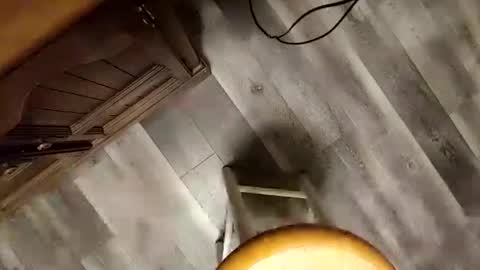 Snapshot of yupthatshim chatting on 01-23-25, 05:35 yupthatshim online show from 01-23-25, 05:35