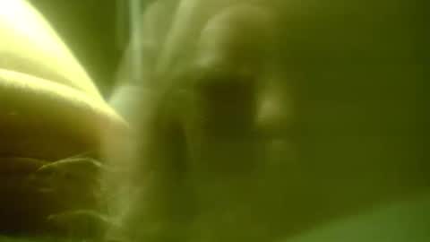 zaboski4 online show from 02-25-26, 07:40