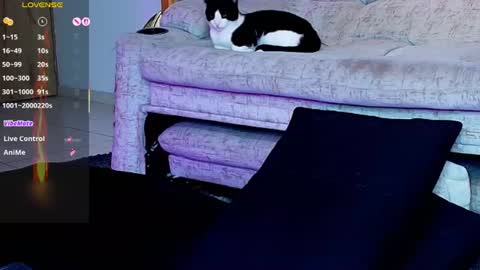 Snapshot of zain_diesel7 chatting on 06-29-26, 02:18 INSTAGRAM yormanfit7 online show from 06-29-26, 02:18