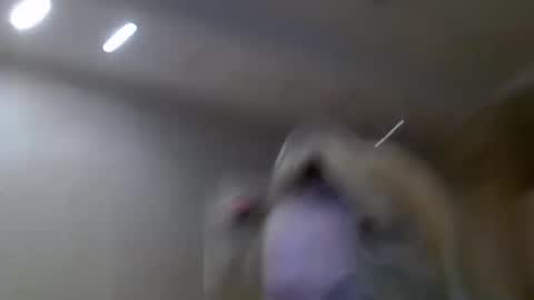 Snapshot of zarinaswift chatting on 02-14-25, 04:47 Zarina Swift online show from 02-14-25, 04:47