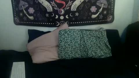 Snapshot of zeldasroom chatting on 01-24-25, 01:24 Zelda online show from 01-24-25, 01:24