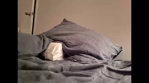 Zeus online show from 02-22-26, 07:40