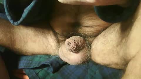 zevioo77 online show from 12-22-24, 08:16