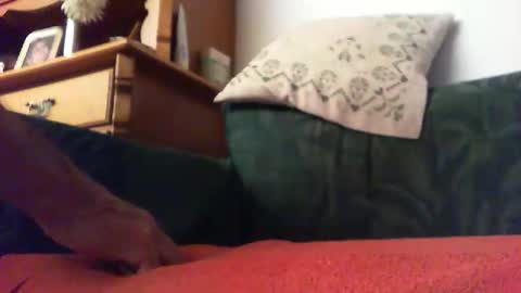 Snapshot of zevioo77 chatting on 09-14-25, 08:30 zevioo77 online show from 09-14-25, 08:30