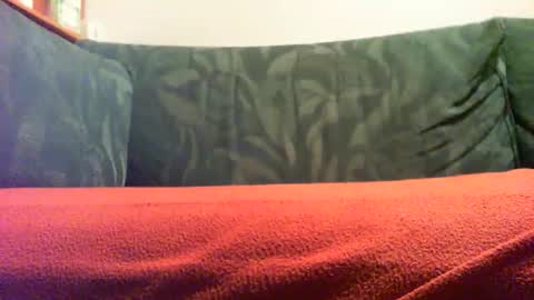 Snapshot of zevioo77 chatting on 09-18-25, 08:11 zevioo77 online show from 09-18-25, 08:11