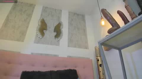 ZHAMIRA  ANDRES online show from 02-11-26, 11:21