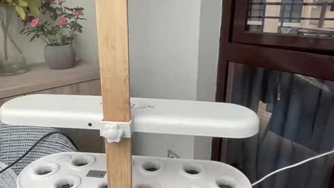 Nensi online show from 04-06-26, 02:40