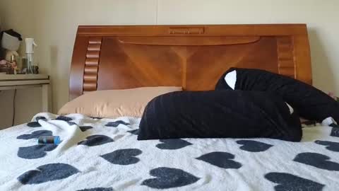 Ziggy ziggy-   online show from 12-06-24, 03:30