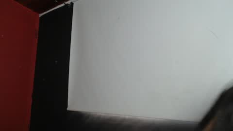 Snapshot of zoegp chatting on 01-16-25, 02:30 Laura online show from 01-16-25, 02:30