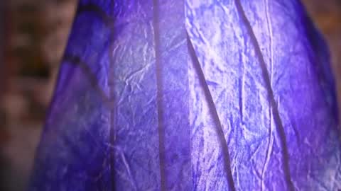 zoey fox  online show from 04-08-26, 11:27