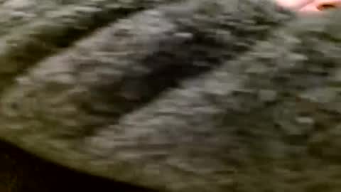 Snapshot of zolexthomas chatting on 01-28-25, 05:35 zolexthomas online show from 01-28-25, 05:35