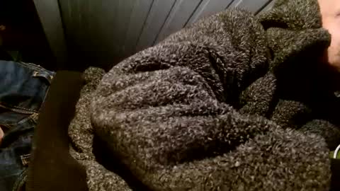 Snapshot of zolexthomas chatting on 02-01-25, 07:55 zolexthomas online show from 02-01-25, 07:55