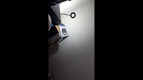 zorrodelavega online show from 04-20-26, 09:16