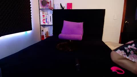 zpzphot online show from 02-14-26, 04:42