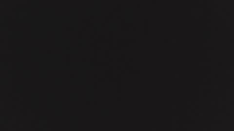 ZURY   online show from 10-24-25, 11:28