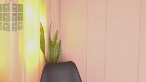 Snapshot of zuzu_sweet chatting on 06-19-26, 07:28 Zara online show from 06-19-26, 07:28
