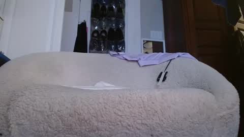 Snapshot of zymase chatting on 01-04-25, 11:27 zymase online show from 01-04-25, 11:27