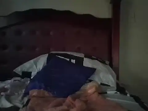 Snapshot of Skyofficial876 chatting on 12-31-24, 03:53 Skyofficial876 online show from 12-31-24, 03:53