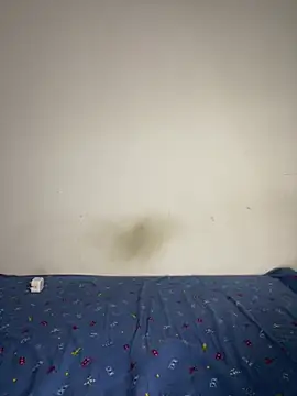 Snapshot of BandySL chatting on 12-13-24, 02:54 BandySL online show from 12-13-24, 02:54