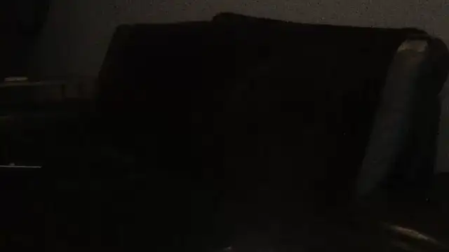 Pup Rush online show from 09-21-25, 12:45