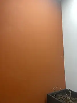 Snapshot of YesTheSexiest chatting on 11-11-25, 09:20 YesTheSexiest online show from 11-11-25, 09:20