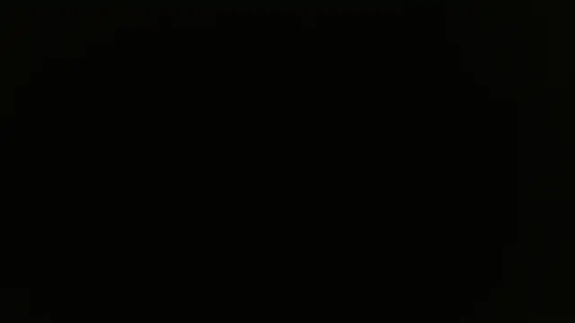 miley jensen online show from 12-19-24, 08:02