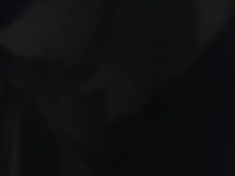 Ethan 29 online show from 03-30-26, 02:01