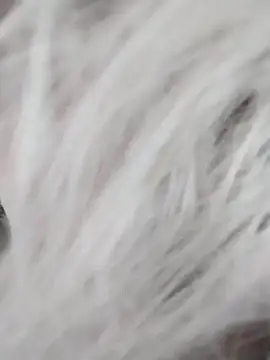 Snapshot of Linda_Gregory chatting on 12-09-24, 07:39 Linda Gregory online show from 12-09-24, 07:39