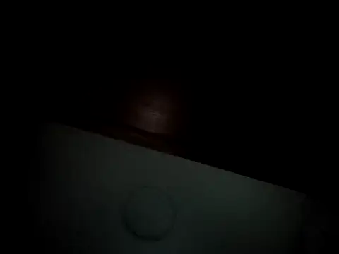 Snapshot of Linda_Gregory chatting on 02-16-25, 04:31 Linda Gregory online show from 02-16-25, 04:31