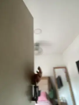 Lia flowers online show from 03-02-25, 05:25