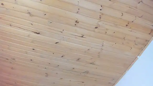 cristal  hot 1 online show from 02-01-25, 04:03