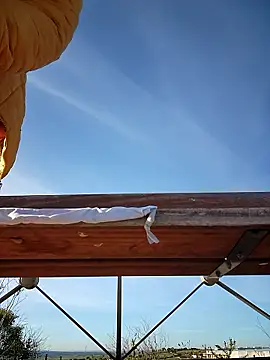 bellapaty online show from 03-30-26, 08:04