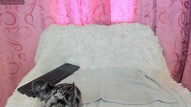 Snapshot of iisabella_gonzalez chatting on 09-13-25, 08:08 iisabella gonzalez online show from 09-13-25, 08:08